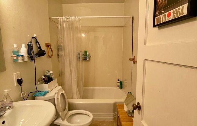 1 bed, 1 bath, 570 sqft, $2,295, Unit 306