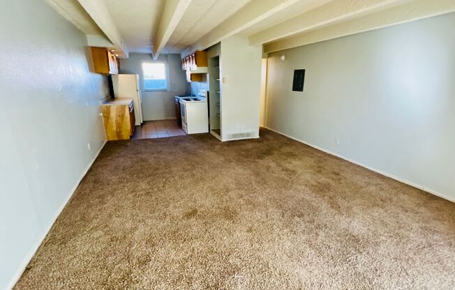 Studio Apartment in Denver - Ground Level - Move-In Special