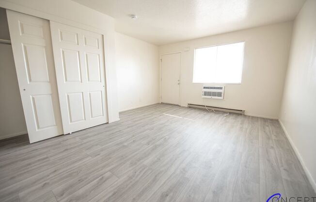 Studio, 1 bath, 360 sqft, $710, Unit 282