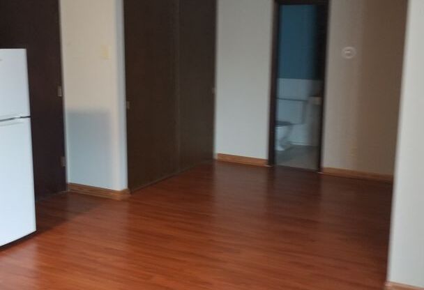 Studio, 1 bath, 400 sqft, $869, Unit 311