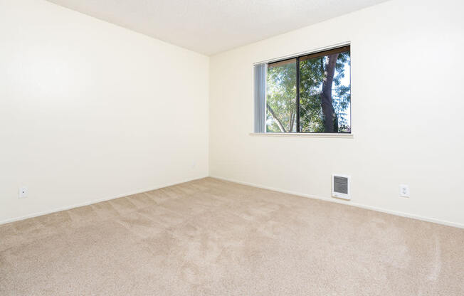 an empty room with a window and carpet