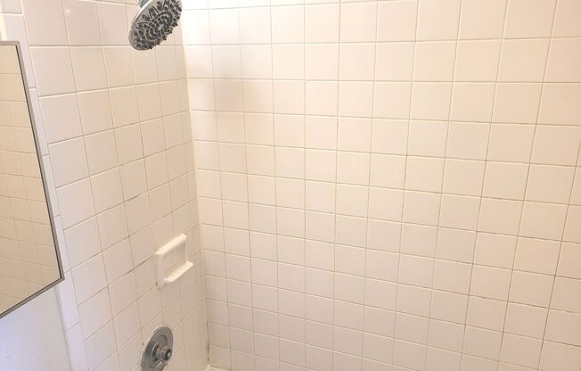 Studio, 1 bath, $825, Unit 413