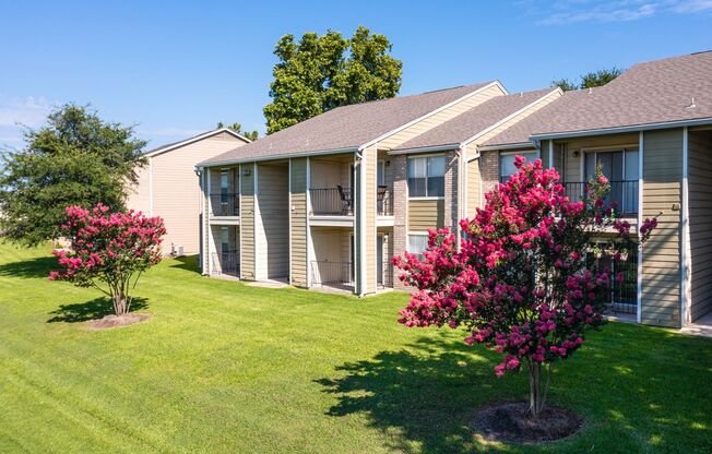 1 bed, 1 bath, 535 sqft, $879