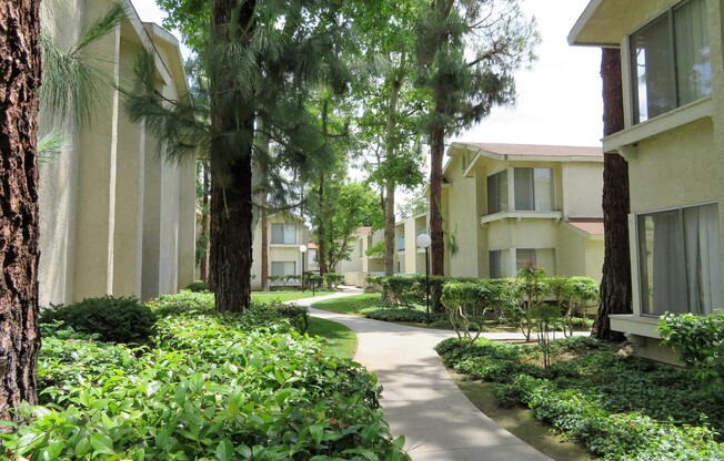 Studio, 1 bath, 475 sqft, $1,995, Unit F110