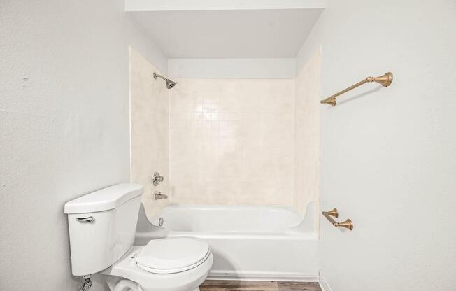 a bathroom with a toilet and a bath tub