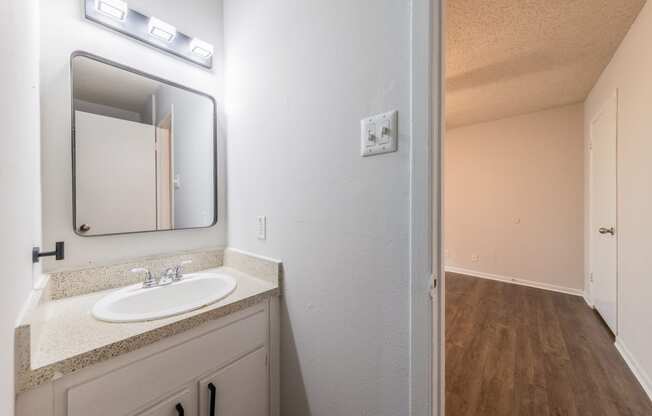 a bathroom with a sink and a mirror