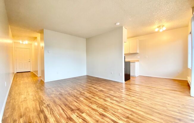 1 bed, 1 bath, 695 sqft, $1,695, Unit 3916-31