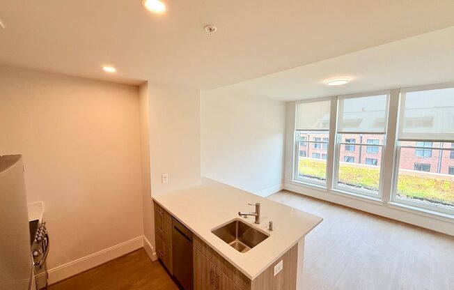 1 bed, 1 bath, $4,000, Unit 502