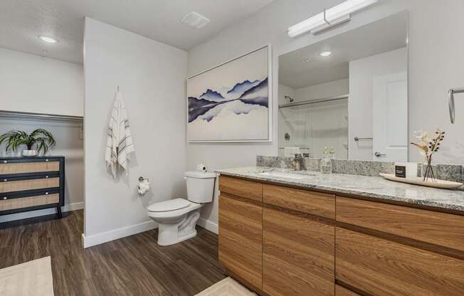 a bathroom with a toilet and a sink and a mirror
