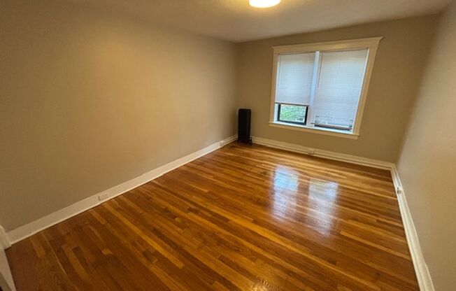 Studio, 1 bath, $1,100, Unit 14 Mattoon St Unit 6