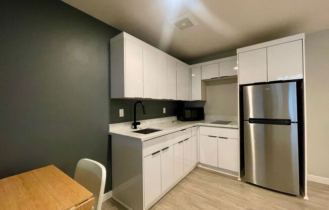 Studio, 1 bath, 250 sqft, $1,150, Unit 205