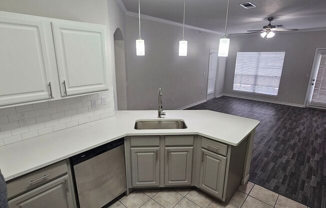 1 bed, 1 bath, 732 sqft, $1,250, Unit 06205