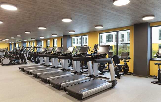 A gym with treadmills and elliptical machines.