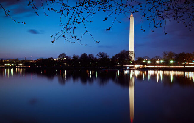 Washington Monument at Trove Apartments, Arlington, 22204