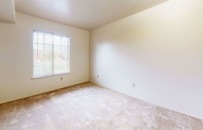 a large bedroom with carpet and a window