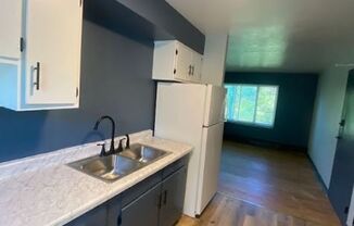 1 bed, 1 bath, 600 sqft, $1,125