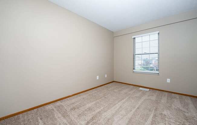 A room with a carpeted floor and a window with blinds