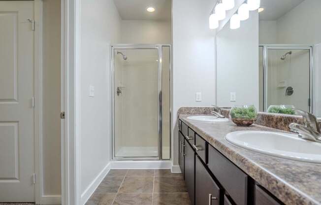 a bathroom with a sink and a shower and a mirror