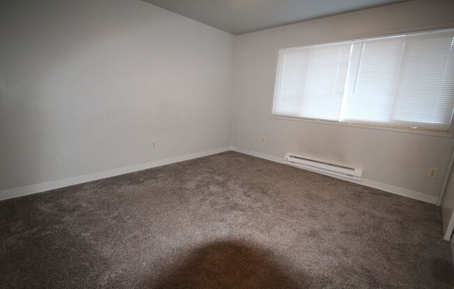 1 bed, 1 bath, 500 sqft, $1,250, Unit 7009 #4