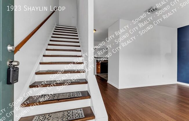 1923 SHAYLIN LOOP