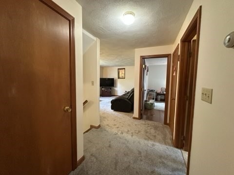 3 HORTON LN