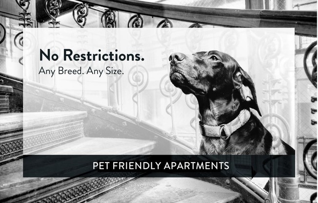 Priscilla Standish Apartments pet friendly