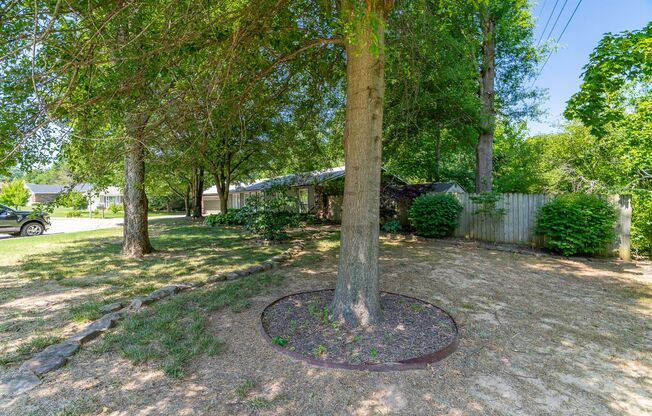 Walk to Gulley Park from this Stunning 3-bedroom 2 bath Home in Fayetteville!!!