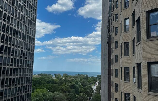 1 bed, 1 bath, $2,000, Unit 902