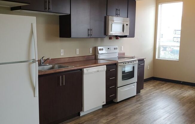 Studio, 1 bath, 460 sqft, $1,025, Unit 1-105E