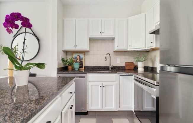1 bed, 1 bath, 493 sqft, $3,000, Unit 704