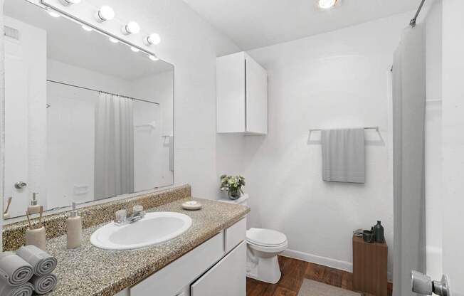 A bathroom with a sink, toilet, and a mirror.