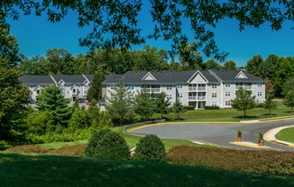 Arbor Grove