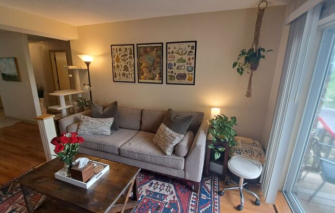 1 bed, 1 bath, 550 sqft, $1,095, Unit 305
