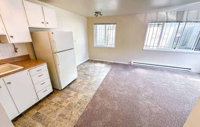 1 bed, 1 bath, 475 sqft, $1,295, Unit 208
