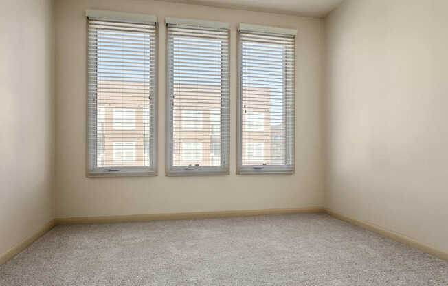 Carpeted Bedroom