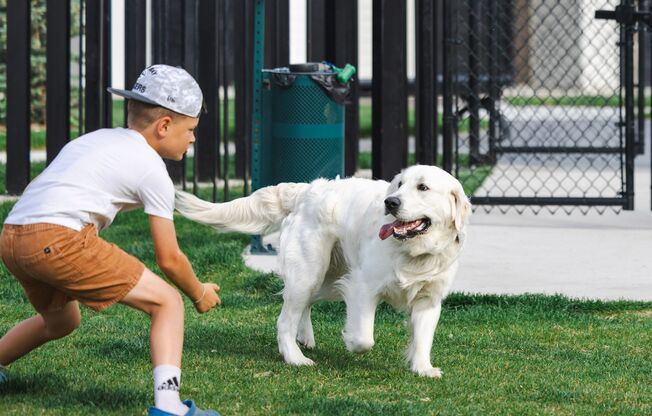 Partner-provided property photo