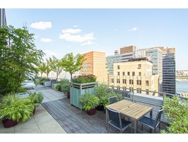 Studio, 1 bath, 499 sqft, $3,500, Unit 711