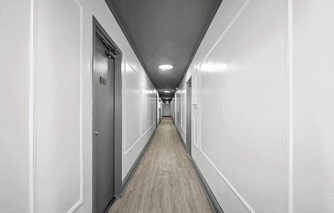 Studio, 1 bath, 381 sqft, $1,095, Unit 206