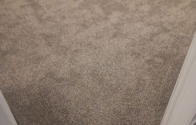 1 bed, 1 bath, 555 sqft, $615, Unit 7814-110