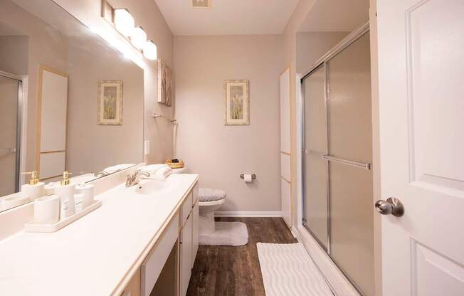 A bathroom with a white counter top and a toilet in the background.