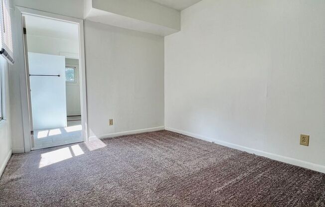 Studio, 1 bath, $725, Unit #2