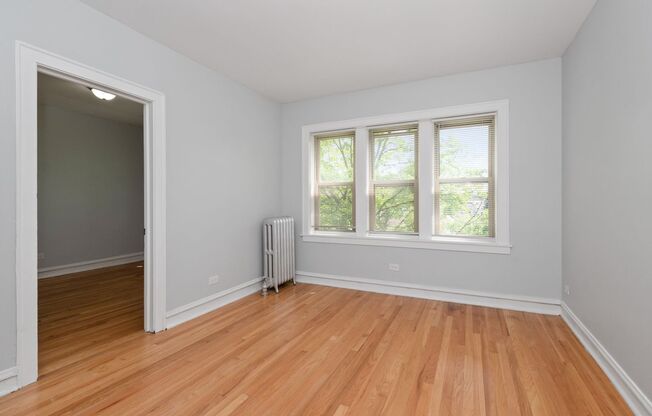 6056 S Albany Ave Chicago, IL 60619