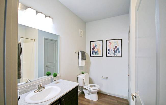 a bathroom with a sink toilet and a mirror