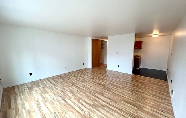 Studio, 1 bath, 464 sqft, $1,295