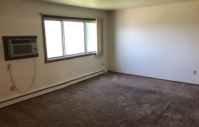 2 beds, 1 bath, 910 sqft, $790, Unit 17