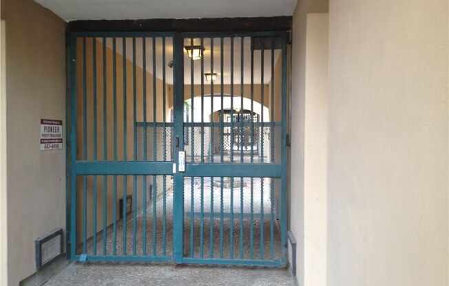 K036 - Palmetto #302