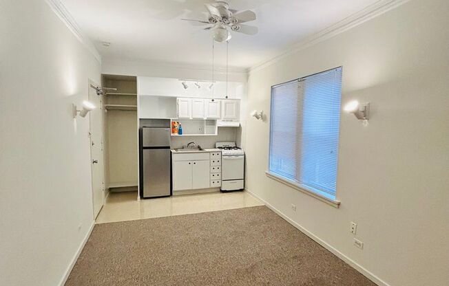 Studio, 1 bath, 241 sqft, $1,220, Unit 607