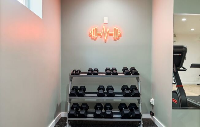 a rack of dumbbells in a gym with a clock on the wall