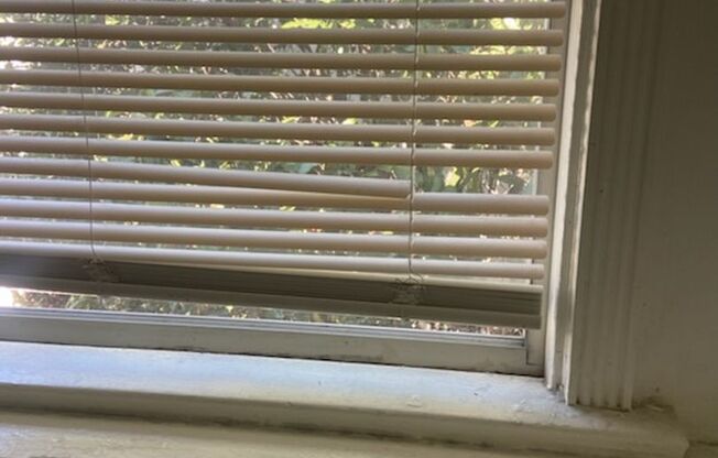 Isabel Apartments, LLC