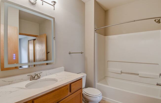 a bathroom with a sink and a toilet and a bath tub